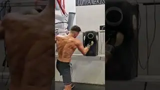 🥊Boxeador Profesional o amateur quien pega m&aacute;s fuerte?