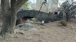 Urban Forestry in New York | Walking Through Battery Park & Central Park
