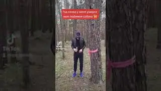 TikTok #688 / МОЯ ЖИЗНЬ В TIKTOK