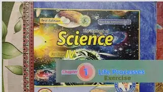 Class 4 Science | Chapter 1 English Exercise | New course Book 2025 | STBB Jamshoro 
