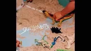 Guillemots - 