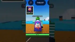 Showcasing every admin cape in Bridge duels Roblox :D @hollyrock999JWgoat #bd #roblox #shubhkipotli