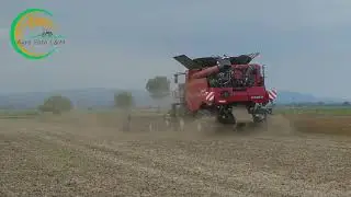 PD Považie Považany // CASE IH Axial Flow 8250 // Case Puma 180 // Sója 2021