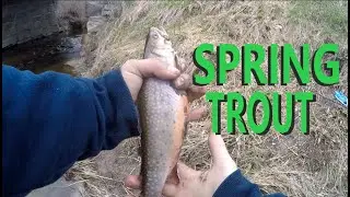 Solo Spring Brook Trout River Fishing Southern Maine