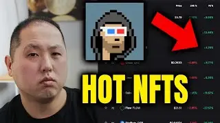 HOTTEST & BEST NFT PROJECTS