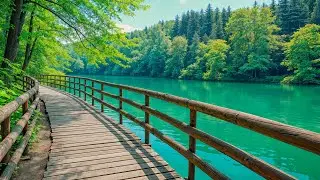 Soothing Music for Heart Health 🌿 Relaxing Tunes for Nervous System Recovery