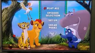 Opening To The Lion Guard  Unleash The Power 2017 DVD {Warner Home Video} DVD