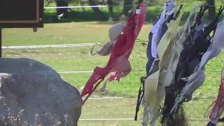 Bradrona in Cardrona 2019