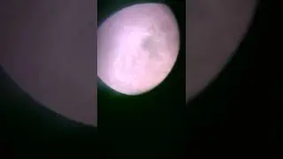The Moon Through my Meade Telescope with a filter