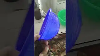 feeding container #rishabhtalks #dog #dogsworld #doglover #dogs #feedstreetdog