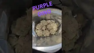 Purple Dino #vibes #purple #gas #happiness #medicine #cannabiseducation #spring #premium #purple
