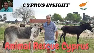 Animal Rescue Cyprus, Paphos Cyprus - An Animal Haven.