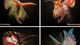 Интервью с автором: Lokiceratops rangiformis из кампанской формации реки Джудит в Монтане