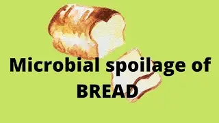 microbial spoilage in bread