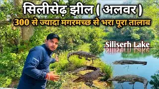 300 से ज्यादा मगरमच्छ सिलीशेढ़ झील अलवर || Siliserh Lake Alwar || Crocodile in Siliserh jhil alwar