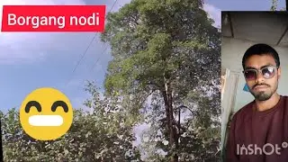 Borgang nodi ka video 