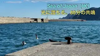 Resonance of the Grey Horizon vol.2 [4K]｜快晴の日本海、海鳥の舞、80分の癒やし。