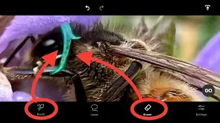 How To Download Touch Retouch For Free 🆓 iOS Android APK 2023 🆓 BEST