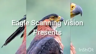 NATURAL NATURE RESERVES