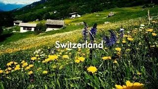 MAVA Switzerland Programme