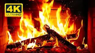 Suara Api Unggun untuk Relaksasi dan Tidur Nyenyak 🔥🛌
