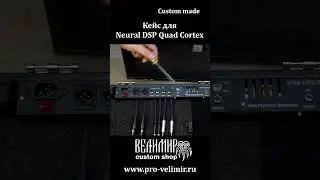 Кейс для  Quad Cortex с питанием и коммутацией.  #workshopvelimir #custom #quadcortex #customshop