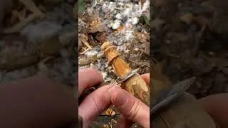 Small carving project to pass the time #bushcraft #camping #shorts