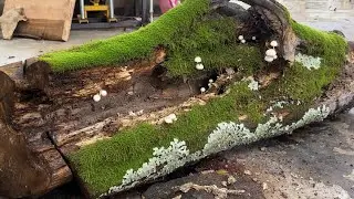Don’t Throw Them Away! These Ugly Logs Turned into Stunning Garden Furniture
