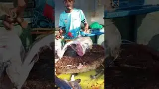 The skilled hands of young man Nando cut yellowfin tuna #fyp #food#tuna #fishcutting  #seafood