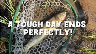 Uinta Bumming: The Unexpected Ending (2025) #flyfishing