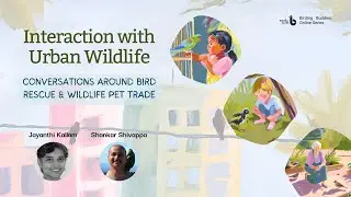 Interaction with Urban Wildlife | Birding Buddies Online Series
