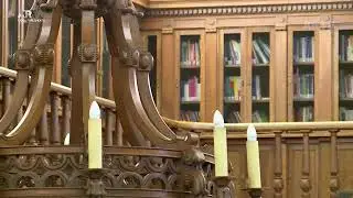 Plen&aacute;rio  | DIRETO