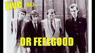 DR FEELGOOD LIVE 1987 , Meltdown almost the whole gig.