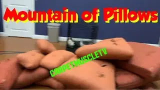 Vlm Upholstery Couch Cleaning. Challenger op Oreck style cleaning.
