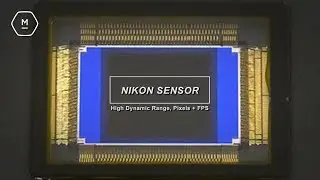 NEWS FLASH - Nikon Making Imaging Sensors | 1000 FPS, HDR, Massive Pixel Count 🚀 | Matt Irwin