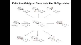 Lecture 5 PALLADIUM II CATALYZED STEREOSELECTIVE FORMATION OF a O GLYCOSIDES