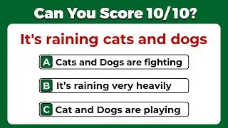 Idiomatic Phrases Quiz: CAN 97% PASS THIS QUIZ? #5