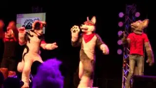 Intro (Showcase) - AC 2014 Fursuit Dance Competition