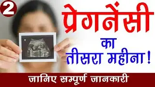 प्रेगनेंसी का तीसरा महीना ! जानिए सम्पूर्ण जानकारी | Sarita Jain | Arihant IVF