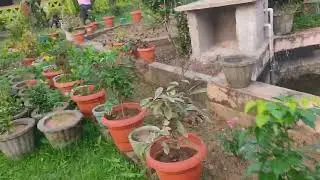 Garden work time