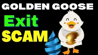 GOLDEN GOOSE ANOTHER DRIP NETWORK CLONE SCAM