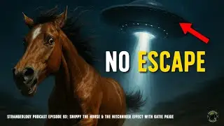 The Strangest Case: Snippy the Horse & The Hitchhiker Effect