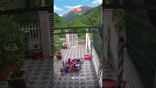 Funniest Top 5 Clips of the Week 🤯🤣 #hilariousmoments  #funnyvideos #funny #hilariousfails