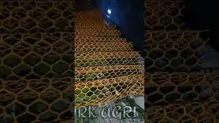 🐛|| PATTU POOCHI READY TO  NOOL  KUND ||