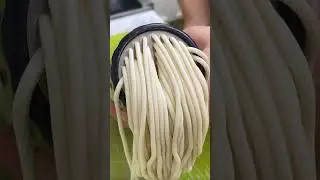 Handheld Automatic Cordless Pasta Noodle Maker - Order Link in Comments!