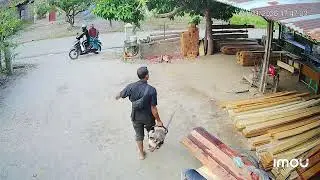Olah kayu kosen