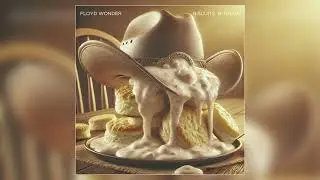 FLOYD WONDER - 