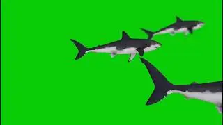 Green Screen 2021