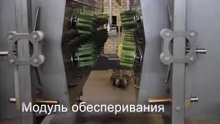 Dutch Poultry Tech 2000bph Pluck&Play russian