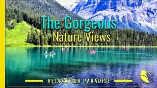 Folk Tranquility Classical Guitar With Beautiful Nature Views